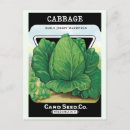 Search for seed packets postcards Vegetables