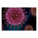 Search for hygiene posters Covid