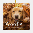 Search for woof Simple