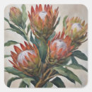 Search for protea stickers Botanical