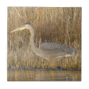 Search for heron tiles Great blue heron