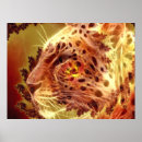 Search for golden lion posters Animals