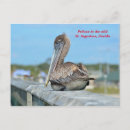 Search for waterbird postcards Nature