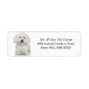 Search for maltese dog return address labels Puppies