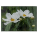 Search for bee chopping boards Insect