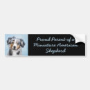 Search for ma bumper stickers Miniature australian shepherd