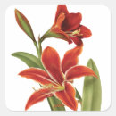 Search for amaryllis stickers Botanical