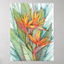 Search for bird of paradise art posters Floral
