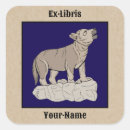 Search for cute seal pup Wolf