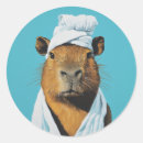 Search for paper towel stickers Funny