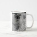Search for ragdoll mugs Photography