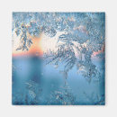 Search for frosted magnets Snowflakes