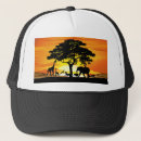 Search for wild animals hats Africa