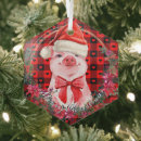Search for pig christmas tree decorations Animal