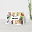 Search for cow and chicken cards Horse