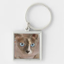 Search for sphynx cat key rings Animal