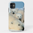 Search for polar bears iphone cases Cute