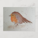 Search for robin painting postcards Cute