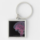 Search for brain key rings Human