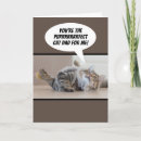 Search for funny cat fathers day cards Dad