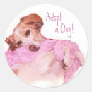 Search for animal business stickers Pets