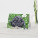Search for funny chimp cards Wildlife
