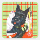 Search for scottish terrier tartan stickers Scottie