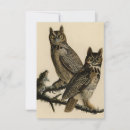 Search for audubon cards Owl