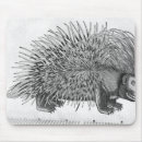 Search for natural history mousepads School