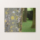 Search for mossy Forest