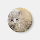 Search for cute cat magnets Baby
