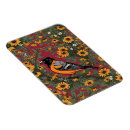 Search for oriole magnets Icterus galbula