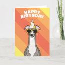 Search for greyhound birthday cards Whippet