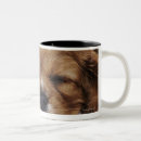Search for tired animals mugs Dog