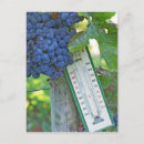 Search for agrarian Saint emilion