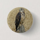 Search for hawk badges Birds of prey