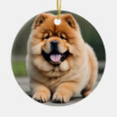 Search for chow christmas tree decorations Cute