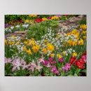 Search for easter flowers posters Garden