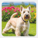 Search for wheaten terriers stickers Scottish