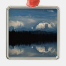 Search for rural christmas tree decorations Water