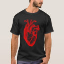 Search for circulatory Anatomical