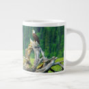 Search for bald mugs Haliaeetus leucocephalus