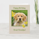 Search for great grandpa cards Yellow