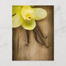 Search for pod postcards Bean