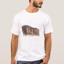Search for sheer tshirts Outdoors