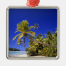 Search for top of the line christmas tree decorations Beach