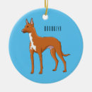 Search for hunting dog christmas tree decorations Pets
