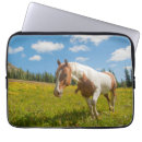 Search for hart electronics Cascade mountains