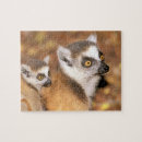 Search for madagascar puzzles Animal