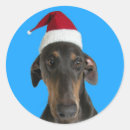 Search for dobie stickers Dog